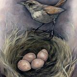 Wren's Nest  (Four Of Skies) 