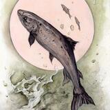 Leaping Salmon  (Three Of Waters)