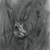 Hare-Witch