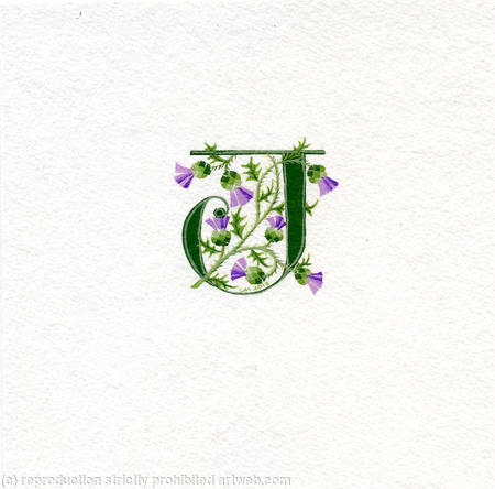 Letter J handpainted in green with Scots thistles