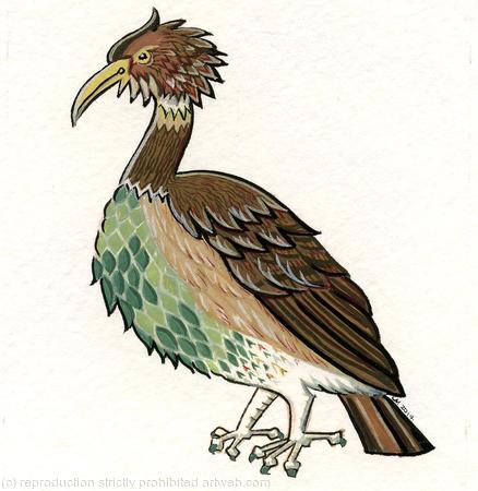 Capercaillie bird card