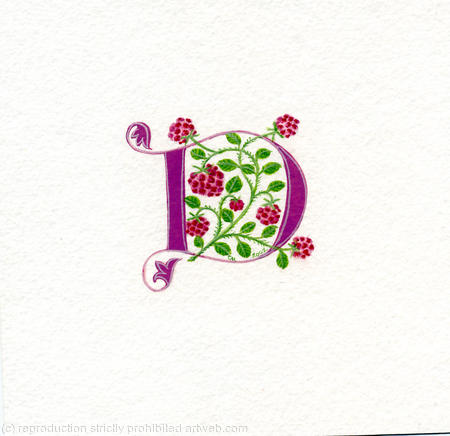 Letter D with raspberries on watercolour paper