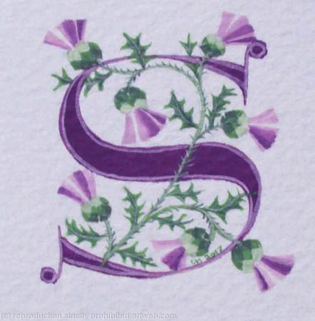 Letter S in purple with thistles.