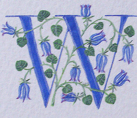 Turquoise W with bluebells