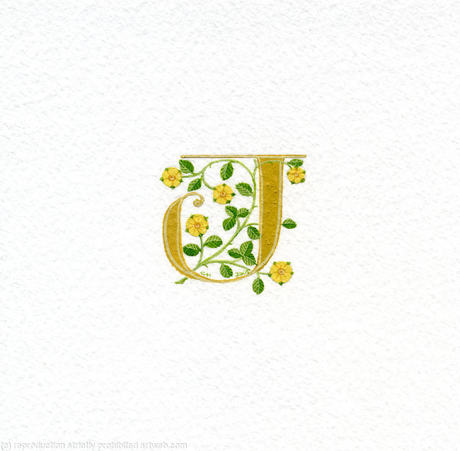 Initial letter J with yellow heraldic roses on watercolour paper by ...