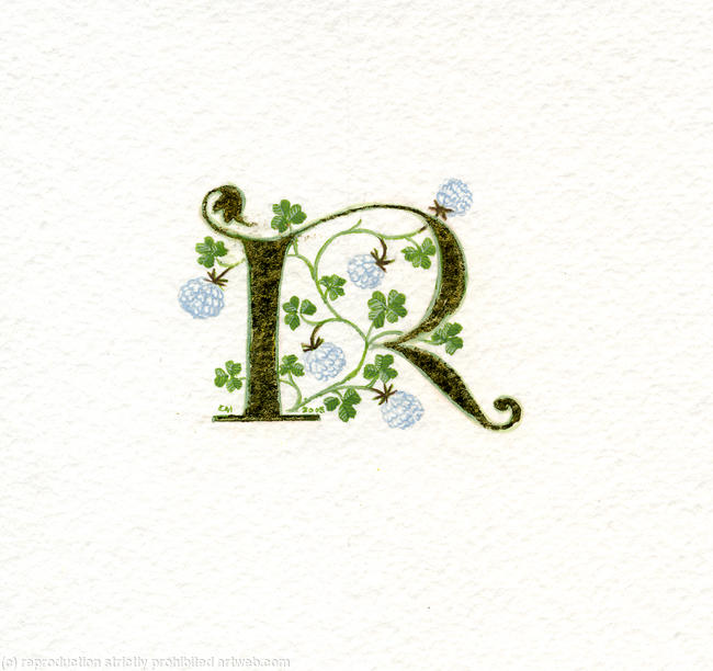 Gold leaf manuscript letter R with white clover on watercolour paper