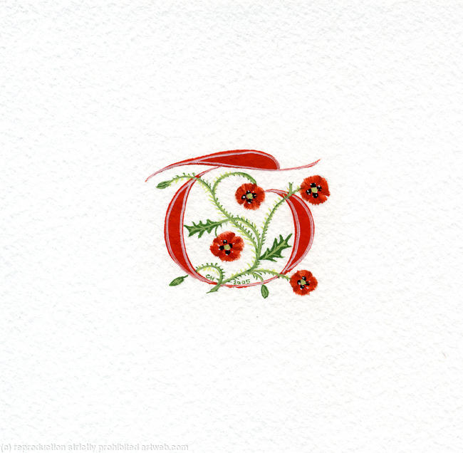 Manuscript initial T in red with Poppies