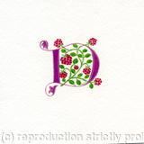 Letter D in dark pink with raspberries