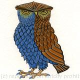 Owl bird greetings card 