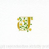 Initial letter J with yellow heraldic roses on watercolour paper