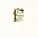 24c gold leaf letter F with daisies and buttercups
