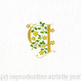 Letter Y with yellow heraldic roses