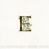 23c gold leaf letter 'E' with apples and apple blossom on watercolour paper