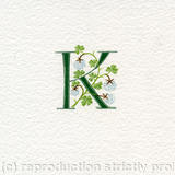 Initial letter K with white clover