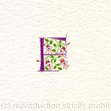 Letter F in dark pink with fuchsia