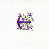 Purple letter E with poppies