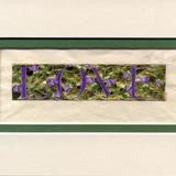 Illuminated panel 'LOVE' on silk paper