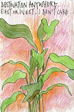 Destination anywhere