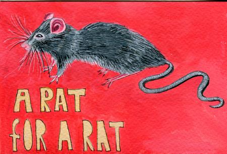 A rat for a rat