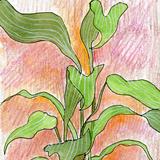 Destination anywhere