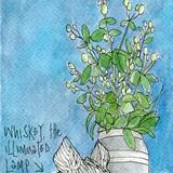 Illuminated dog light