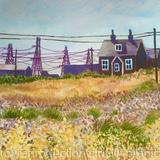 Dungeness landscape