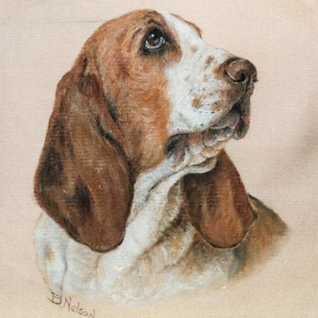 Basset