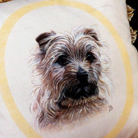 Border Terrier Cushion