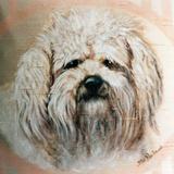 Bichon Frise Cushion