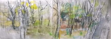 June 2017 - 'forest area'