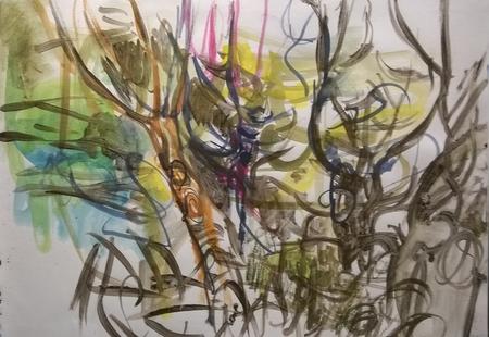 June 2017 - tangle of growth