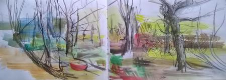 March 2017 - dead ash tree area