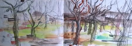 March 2017 - hornbeam