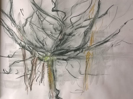 March 2017 -double branches