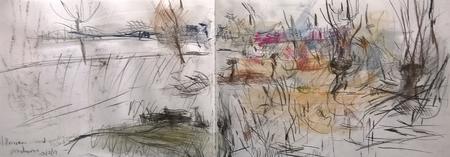 February 2017 - osiers around pond