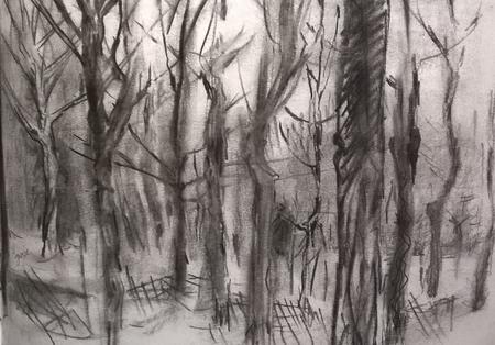 February 2017 - oak planting