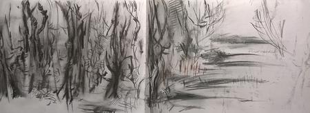 January 2017 - trees 