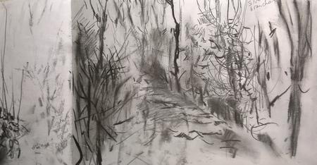 January 2017 - The ride