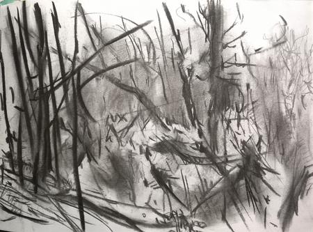 January 2017 - frost 