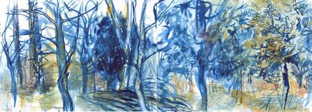 Lawshall Green January Evergreens