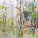 June 2017 - 'forest area'