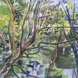 July 2017 - hornbeam canopies