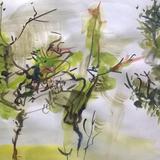 June 2017 - young hawthorn