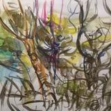 June 2017 - tangle of growth