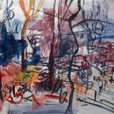 June 2017 - forest area