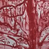 May 2017 - hornbeam area