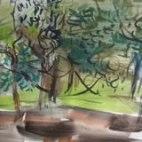 July 2017 - hornbeam