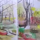 March 2017 - dead ash tree area