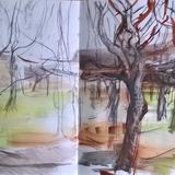 March 2017 - hornbeam