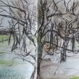 March 2017 - hornbeam rows